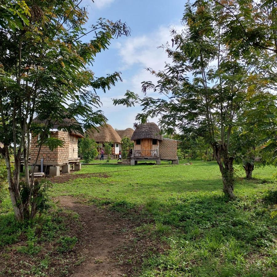 Songbird Safari Lodge & Campsite Katunguru Buitenkant foto