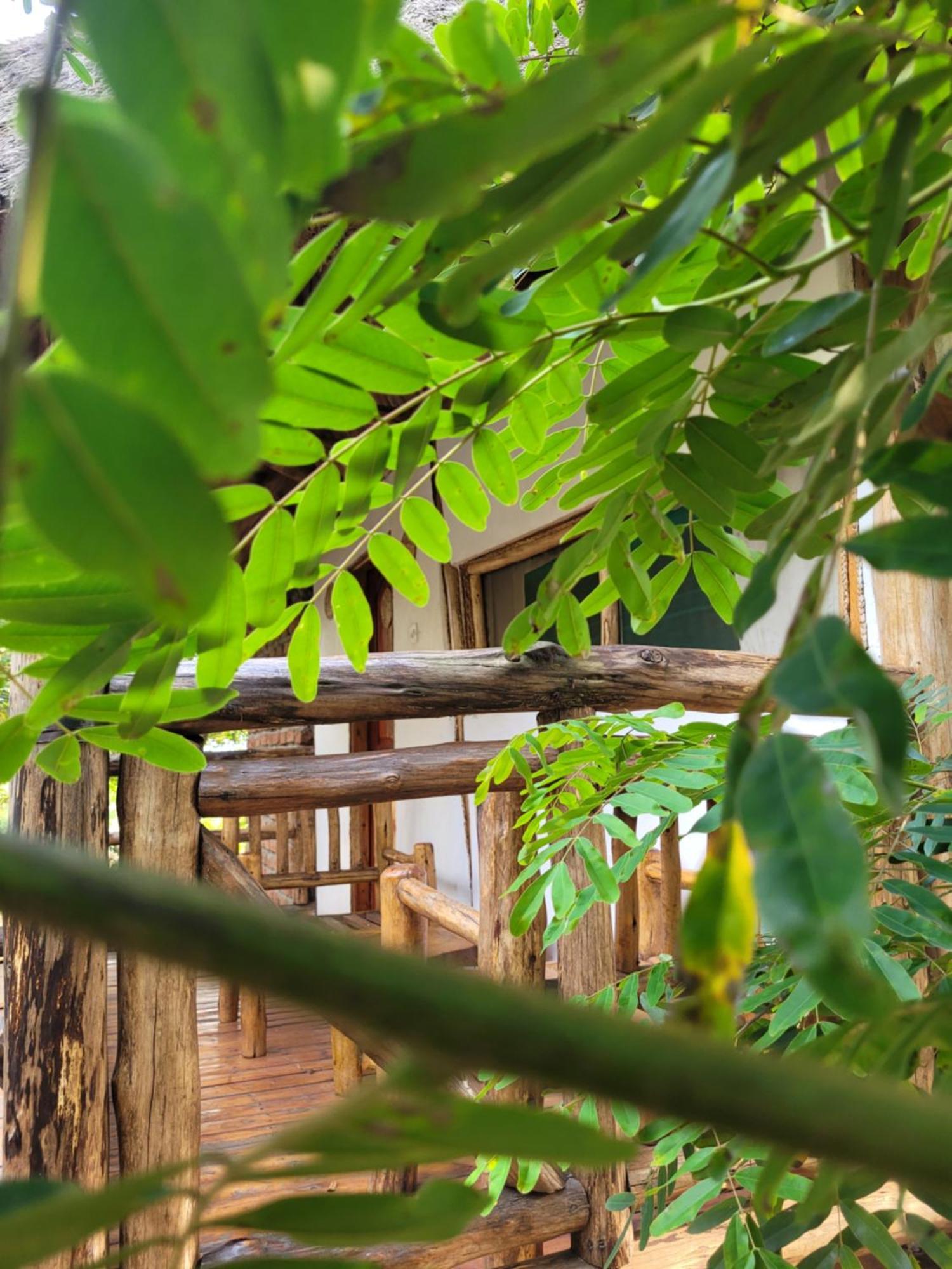 Songbird Safari Lodge & Campsite Katunguru Buitenkant foto